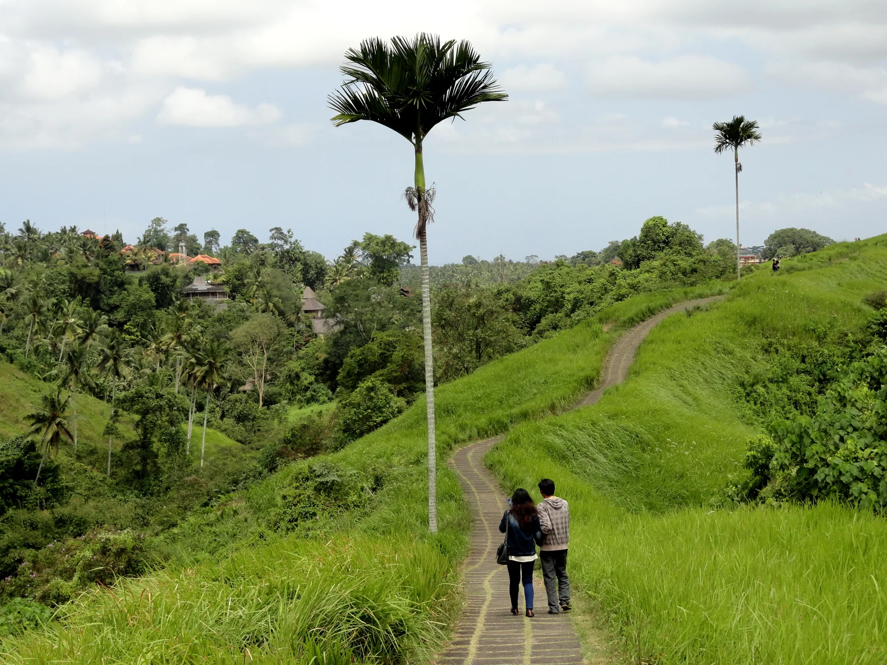 Two walkers follow the Campuhan Ridge path between grassy hills and palm trees in Ubud.