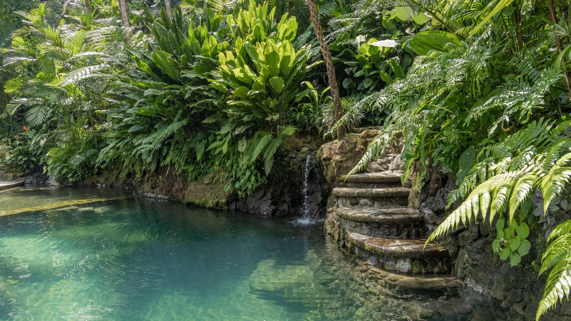 A natural springwater pool surrounded by tropical greenery and stone steps at COMO Shambhala Estate.