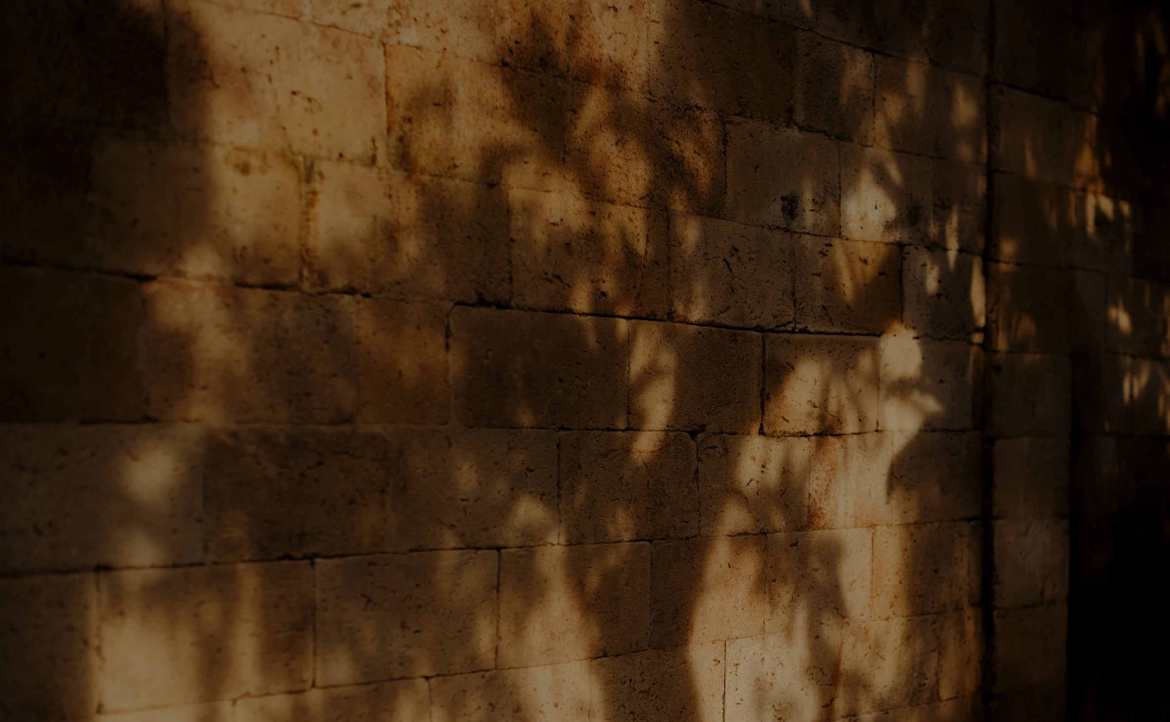 Warm sunlight and leaf shadows on a sandstone wall at Amandari, Ubud.