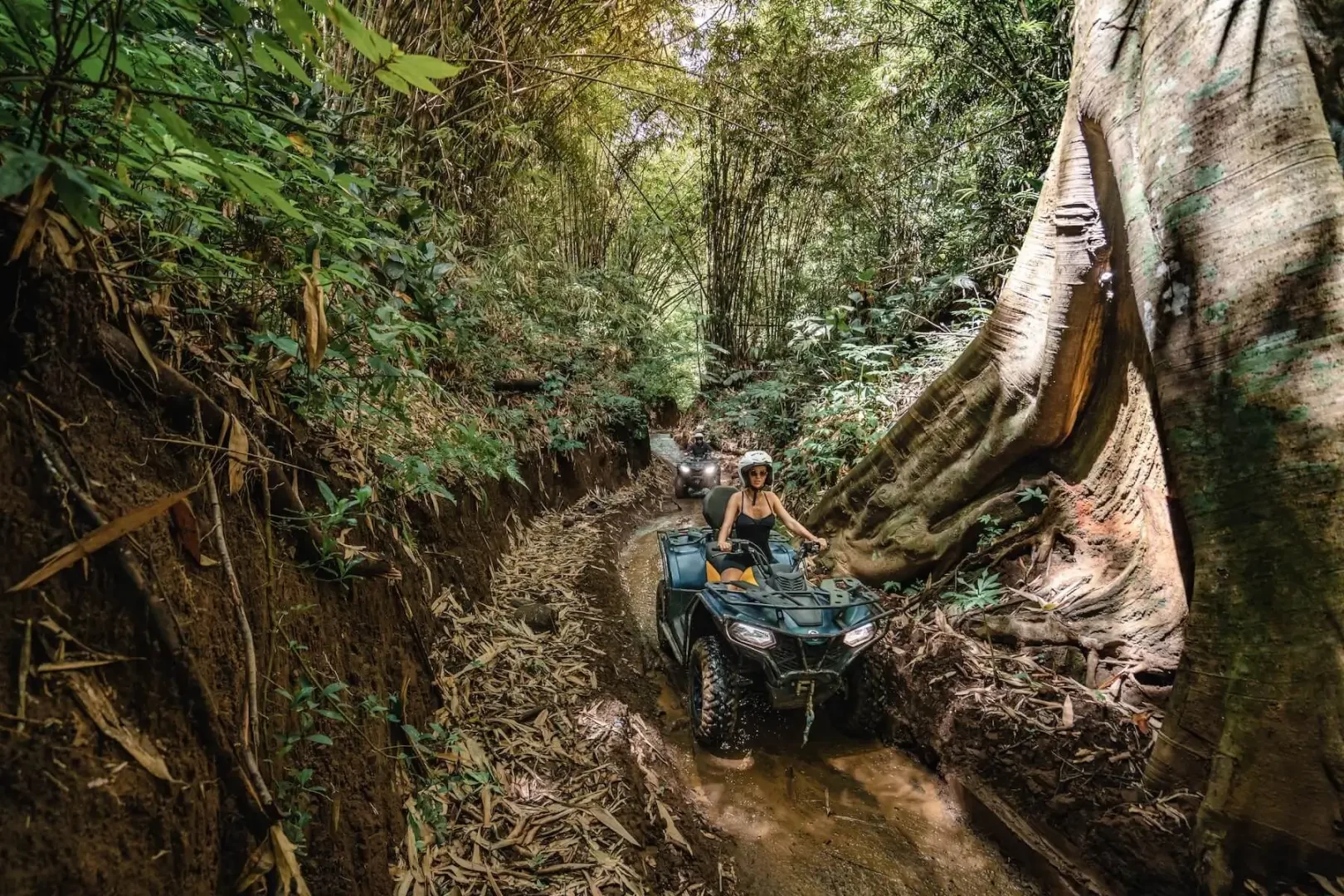 A helmeted ATV rider passes beneath large tree roots on a narrow jungle track at Alasan Adventure