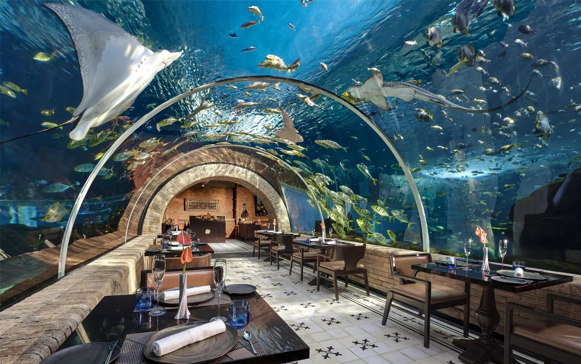 Dining tables beneath the aquarium tunnel at Koral.