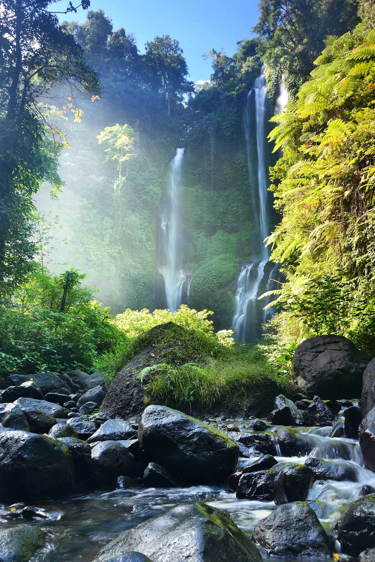 Tall Sekumpul waterfalls descend through dense green forest into a rocky stream in northern Bali.