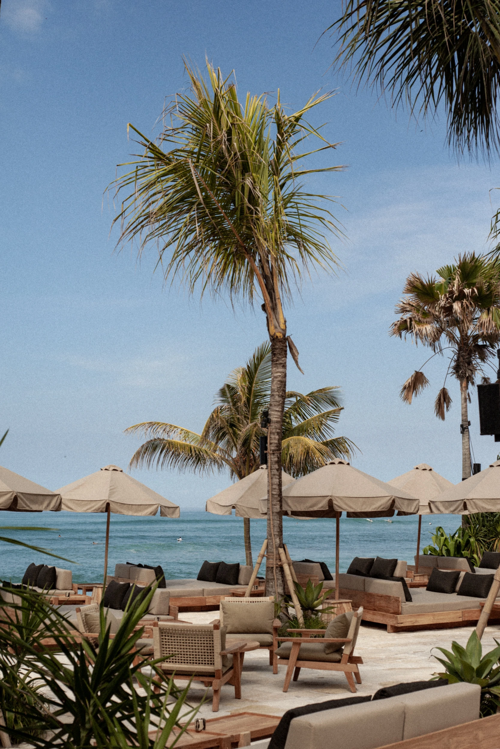 Ocean-facing daybeds, parasols and palms at The Lawn in Canggu.